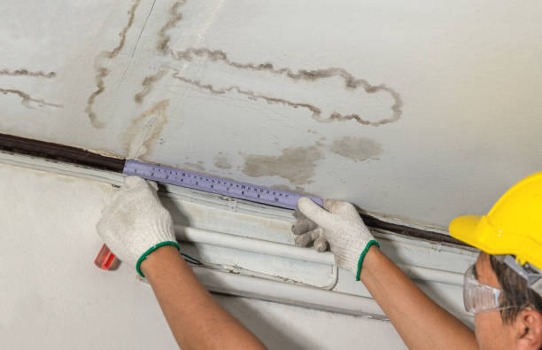 Reliable Water Damage Repair contractor in East Boothbay, ME by Hirex Water Damage
